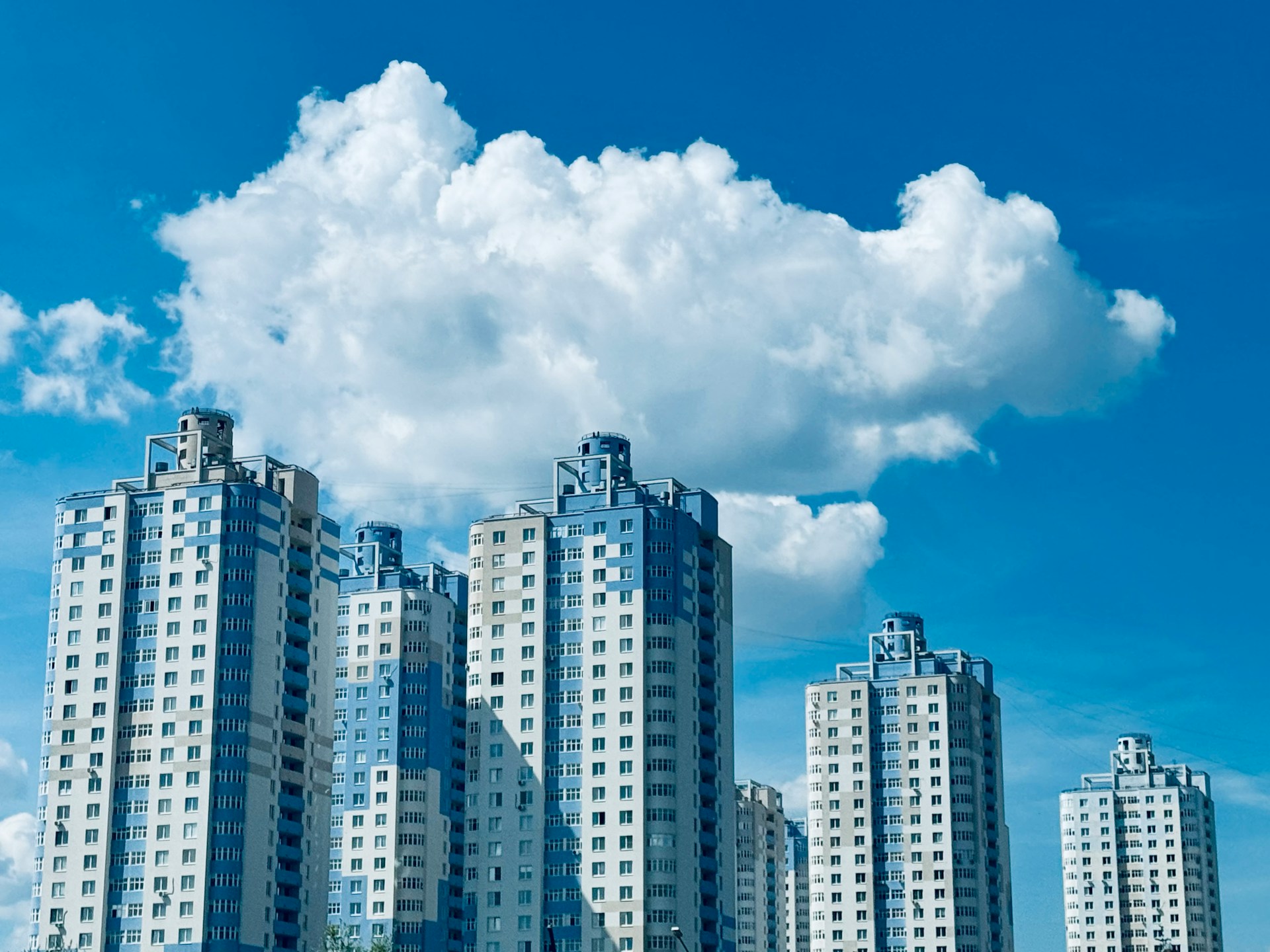 Tendencias de precios 2025